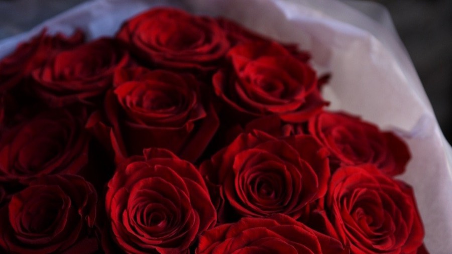 Ivanysh Flowers — 3